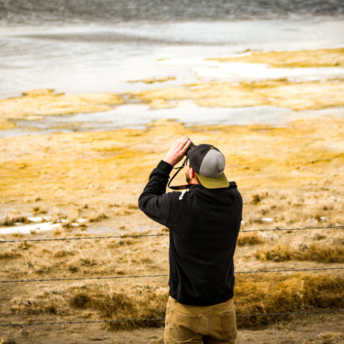 Wild Sage Photography