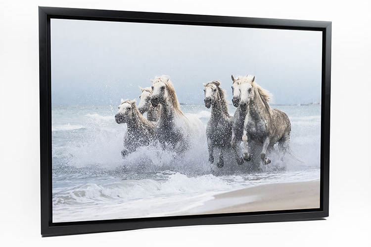 Direct Print on Aluminum White