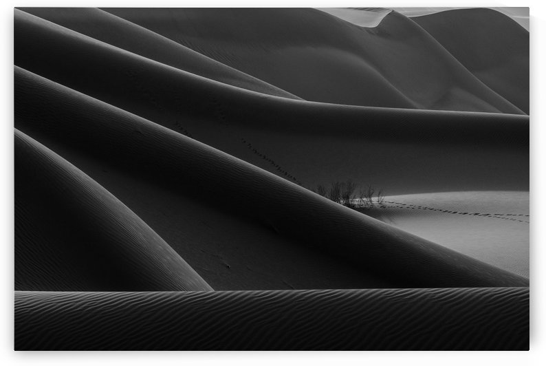 footprint & hidden bushes by 1x