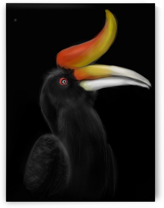 Rhinocerous Hornbill by Su Yi