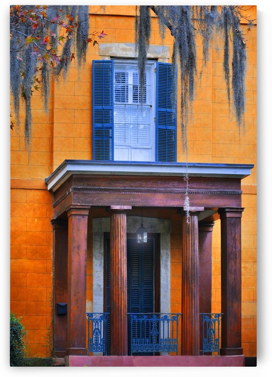 Savannah Porch by Alexandra Draghici