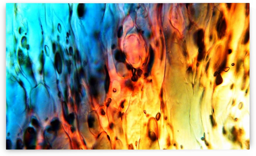 Fire Woman by Brad L  Vance