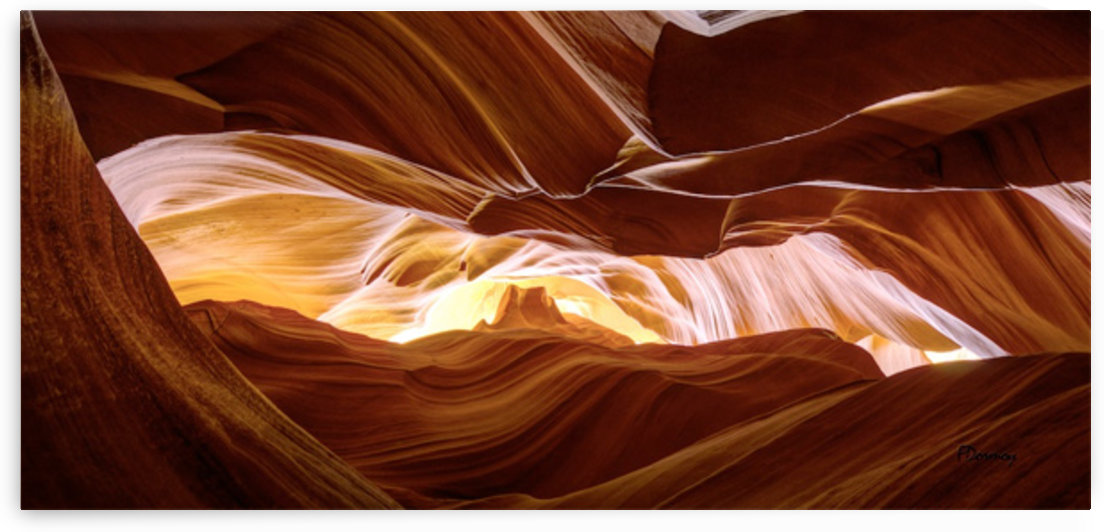 Antelope by Fabien Dormoy