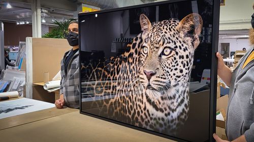 HD Metal Print ChromaLuxe