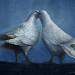 Doves