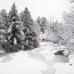 Vivre dans la nature la maison jaune