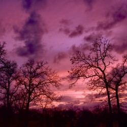 Purple Sky